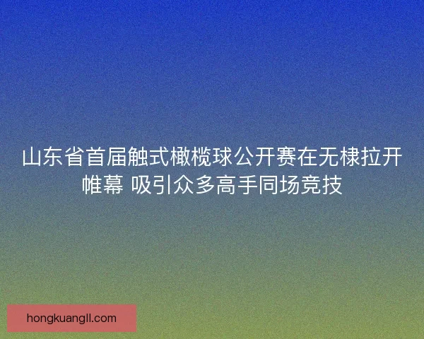 山东省首届触式橄榄球公开赛在无棣拉开帷幕 吸引众多高手同场竞技